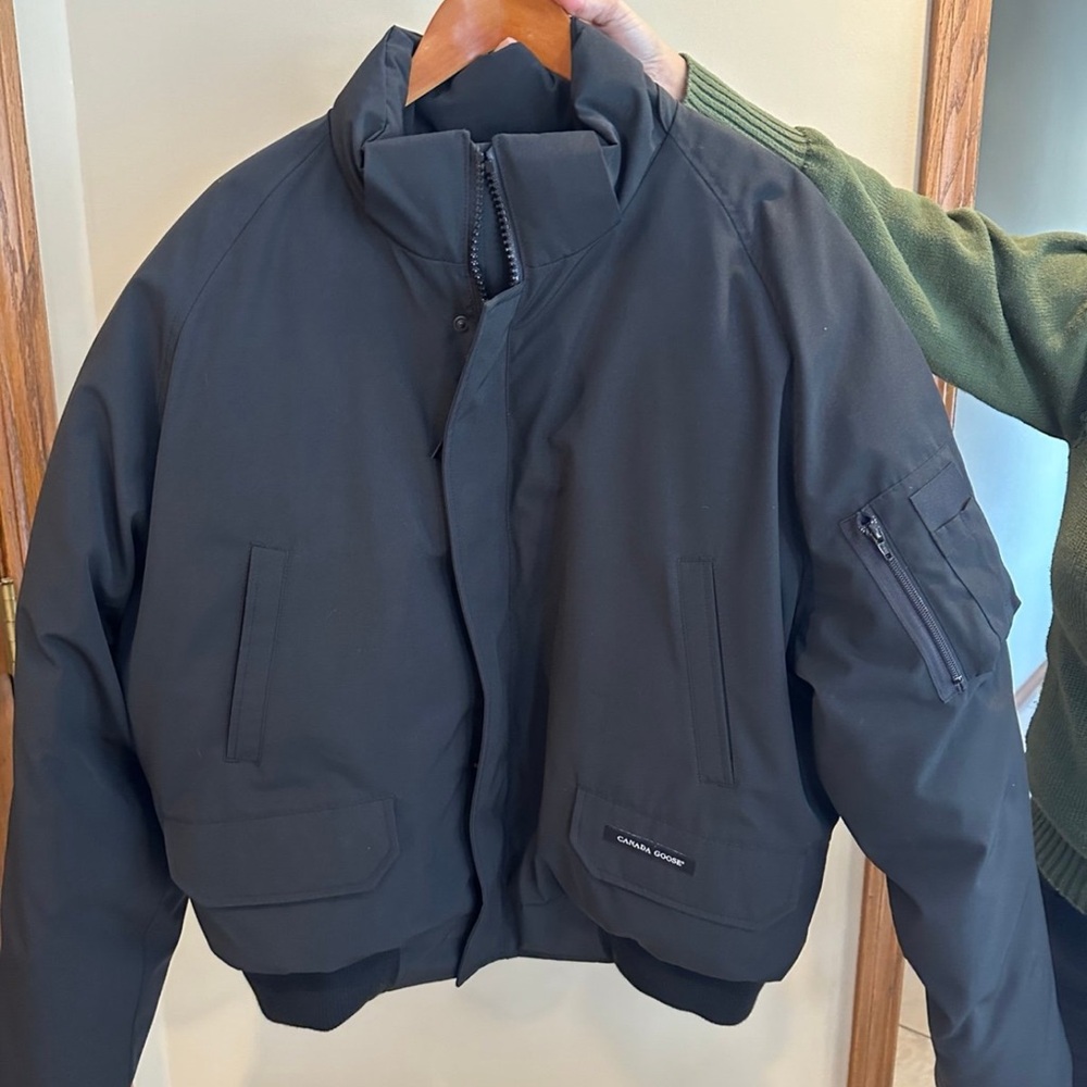 Canada goose